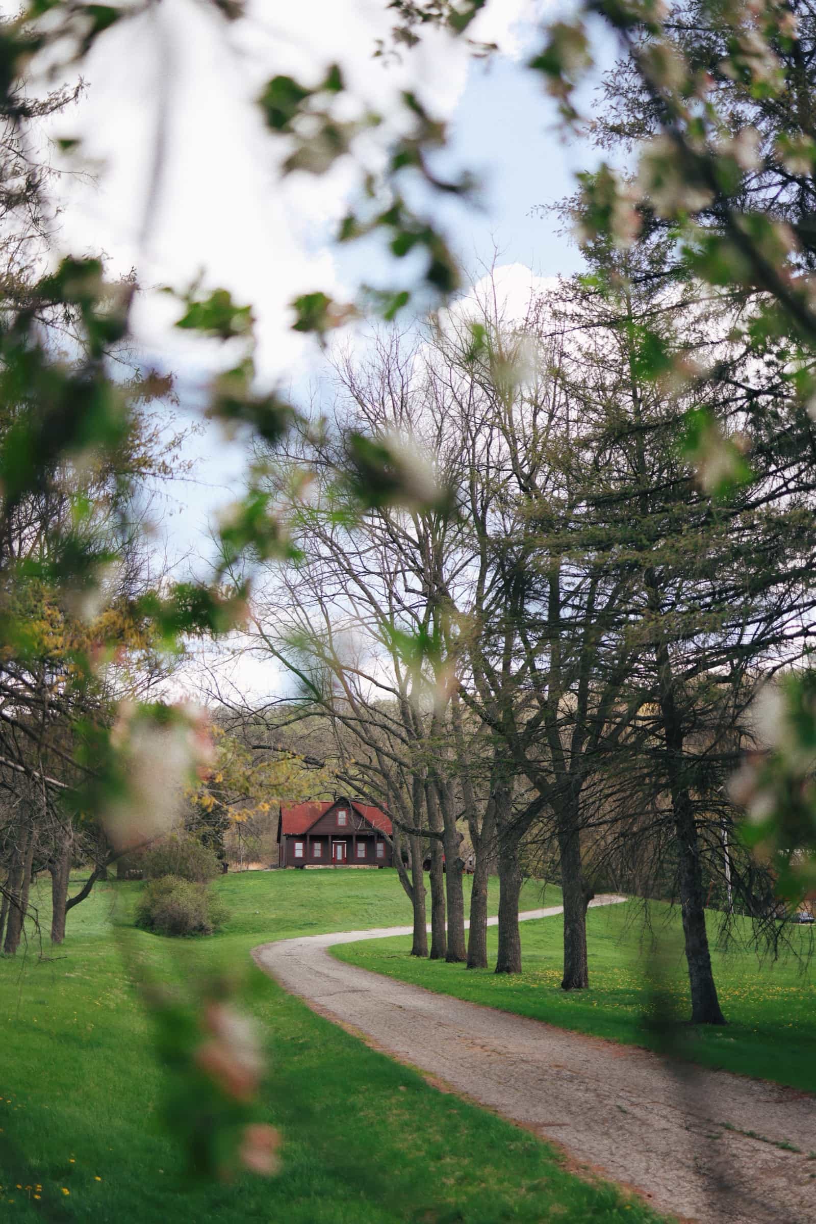 The tree-lined drive at Aldebaran Farm with the main house beyond